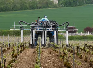 Traitement de la vigne à l'aide d'un pulvérisateur