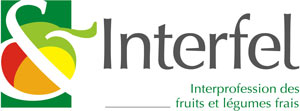 logo-interfel